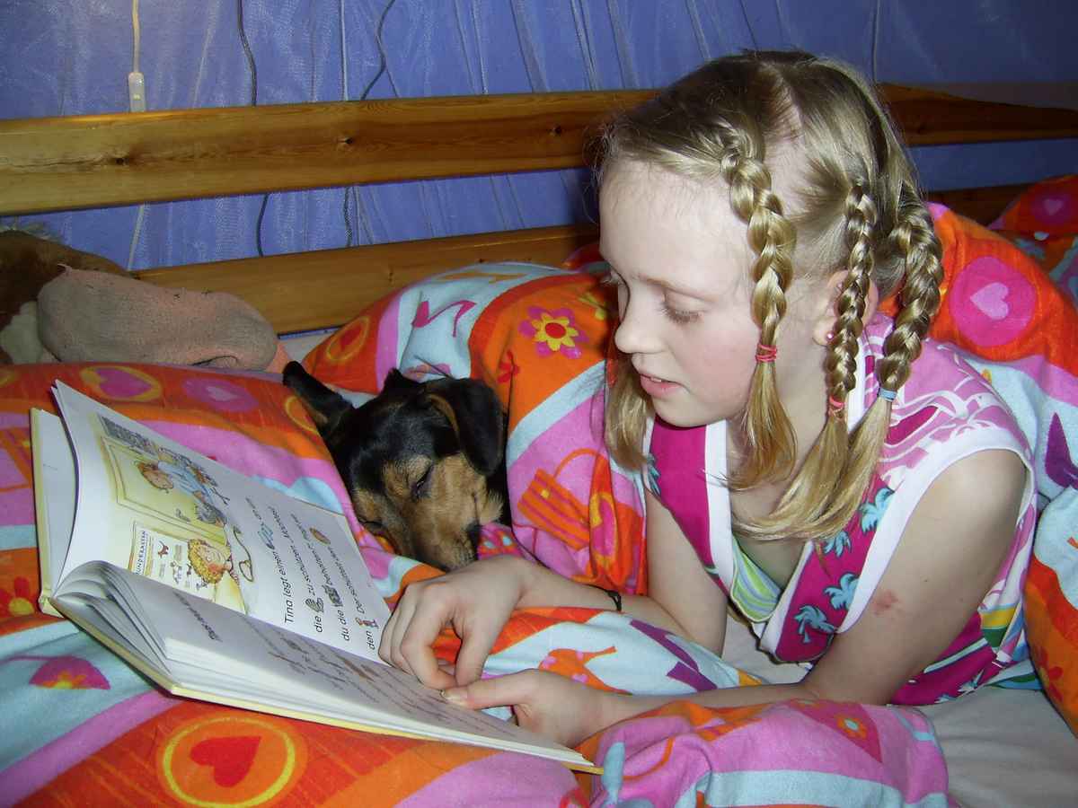 Gute Nacht Geschichte