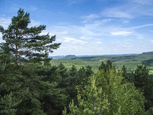 Katzstein in der Sächsischen Schweiz