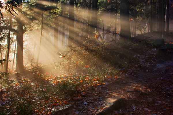 Magisch