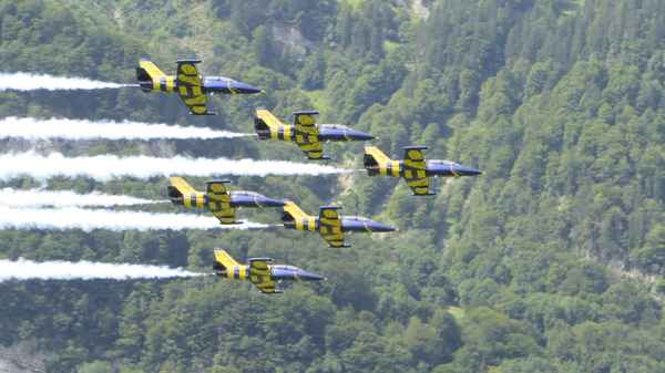 Baltic Bees