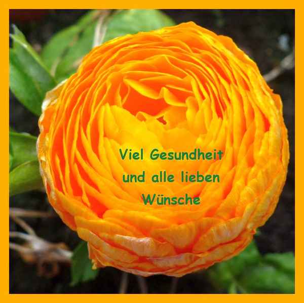 Gesundheit