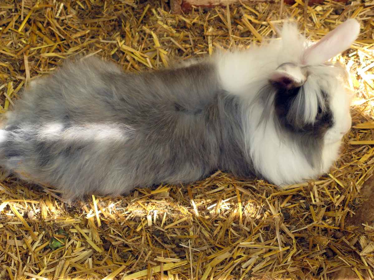 So fühl ich mich wohl....