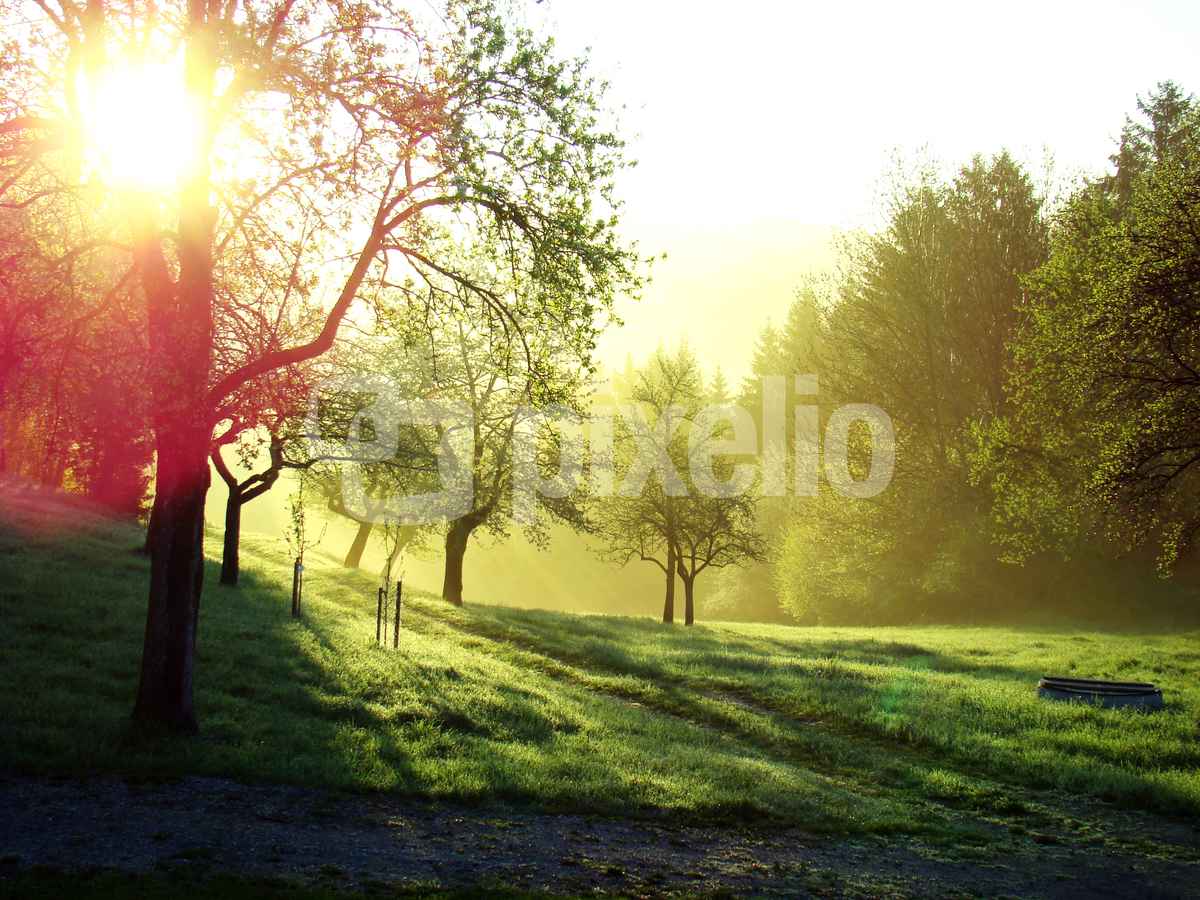 Sonnenaufgang im Mühlviertel