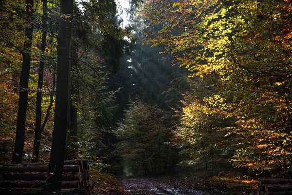 Herbst