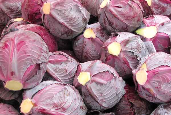 Rotkohl auf dem Markt