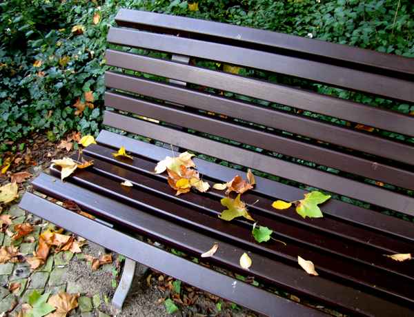 Bank im Herbst (Detail)