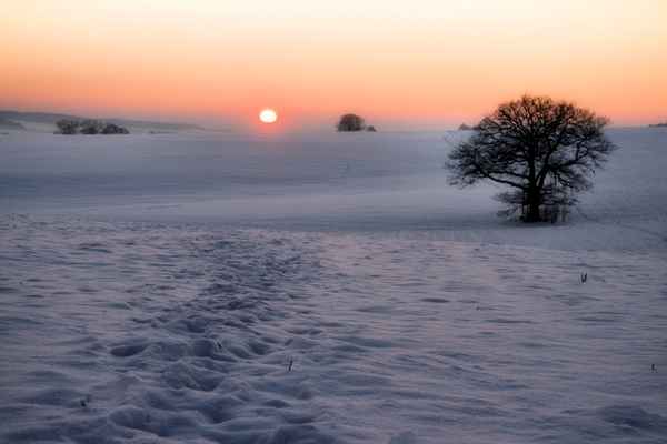 Schwindende Sonne oder sterbender Januartag