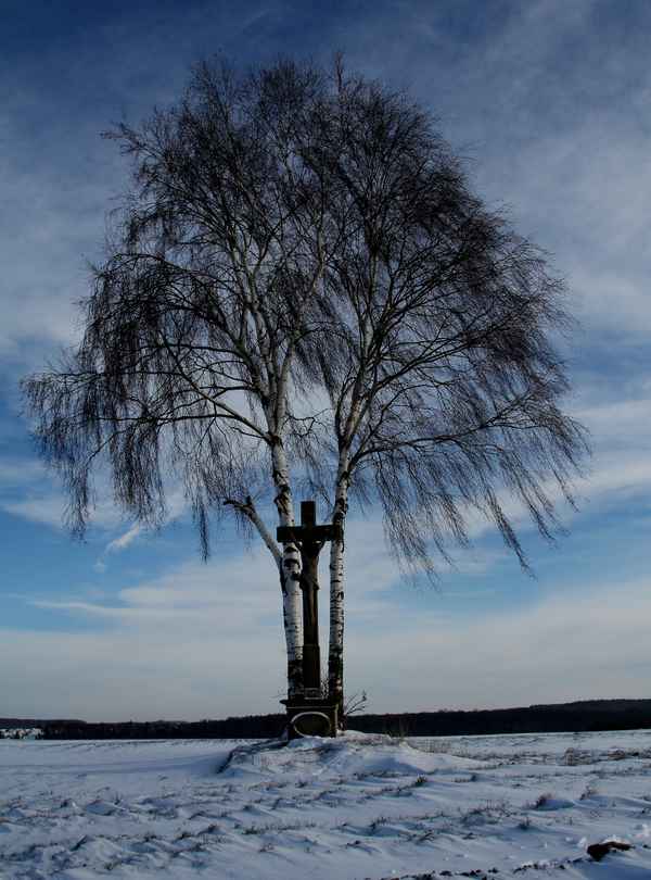 Birke mit Sühnekreuz