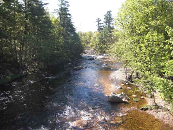 Swift River