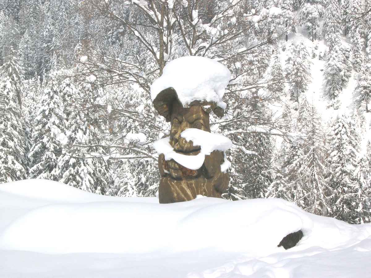 Schneezwerg