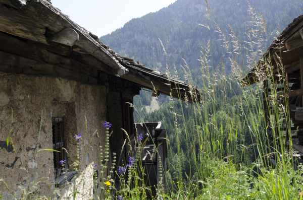 Altes Haus am Hang