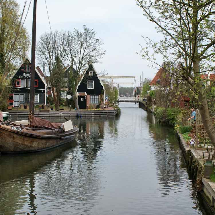 Edam