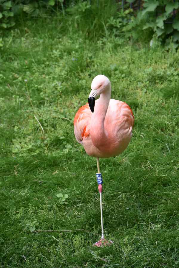 kannst du auch auf einem bein stehen `?