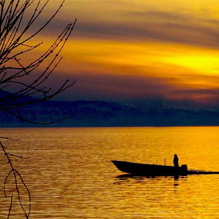 Ein Fischer auf dem Bodensee