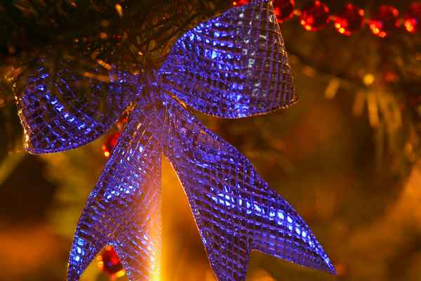 Weihnachtsbaum_5
