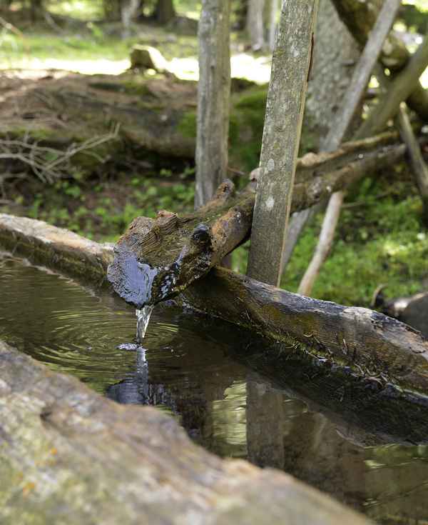 Quellwasser