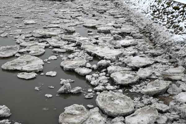 Scholle treibt an Scholle