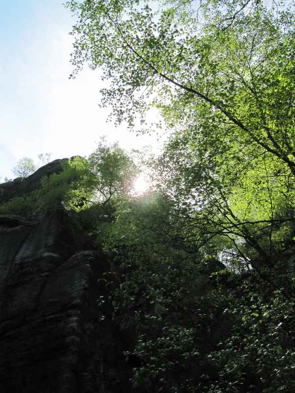 Sonne der Sächsichen Schweiz
