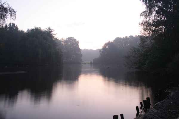 im Park