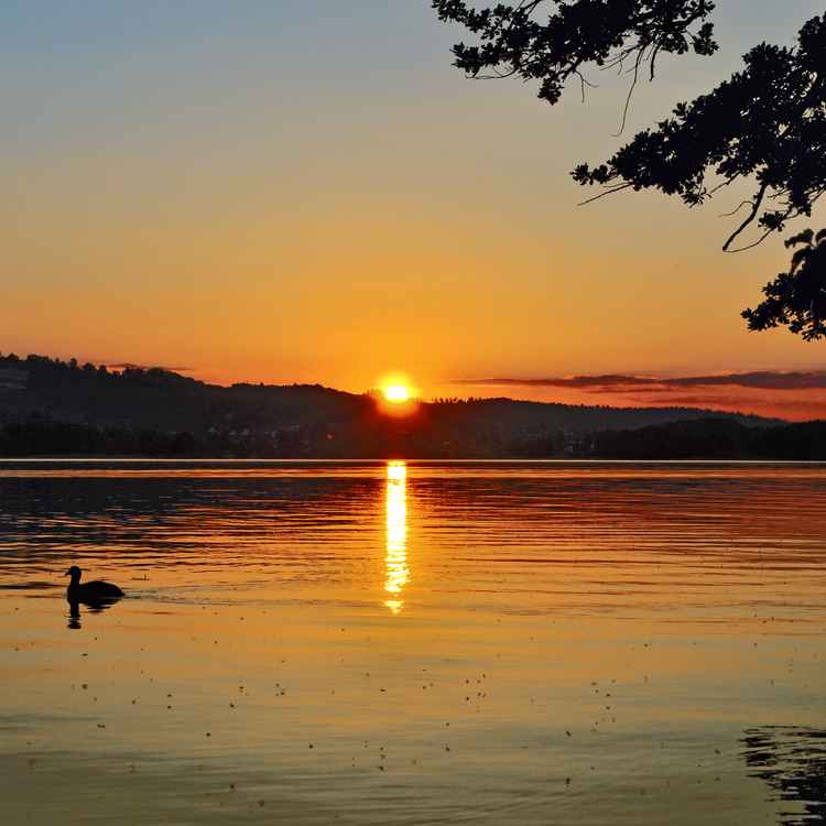 Die letzten Sonnenstrahlen