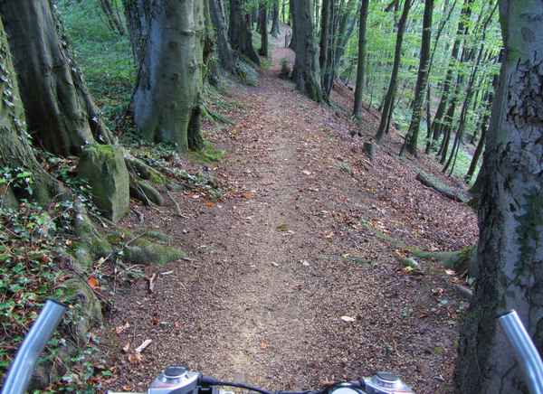 Singletrail