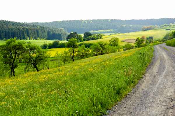 Wanderung ins Grüne