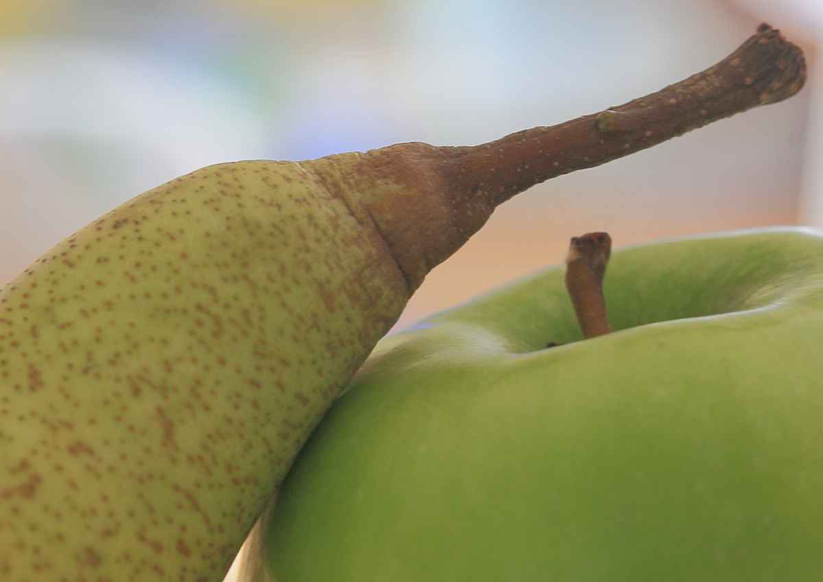 Birne und Apfel