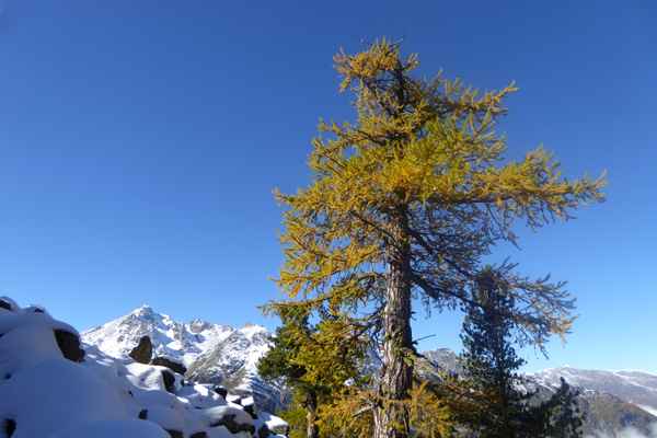 Herbst und Winter zugleich