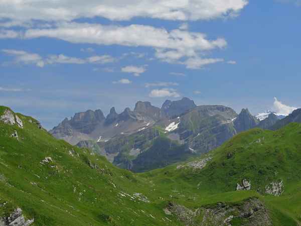Alpweide und Kletterträume