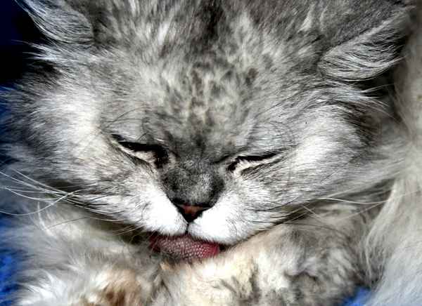 oberstes Gebot: Reinlichkeit