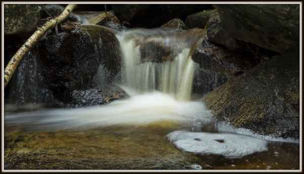 Wildes Wasser