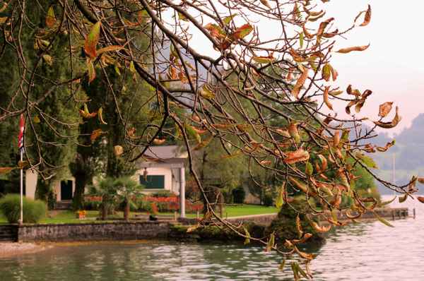 Haus am See