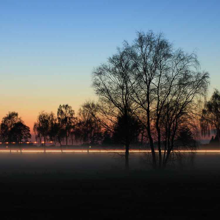 nebel in den wiesen  zur blauen stunde 3