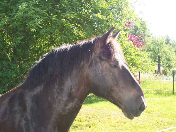 So ein kleines Nickerchen in der Sonne...