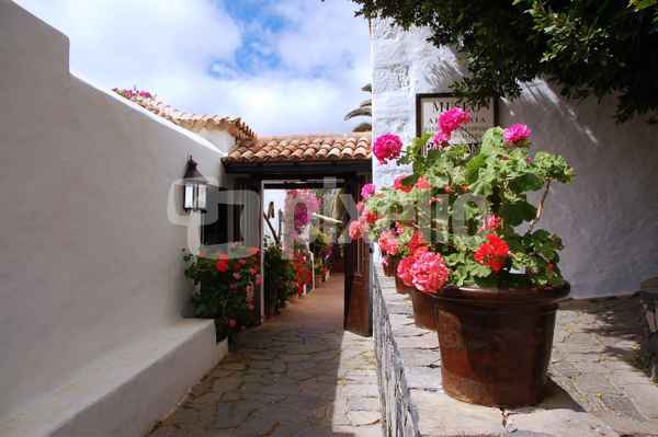 Dorfgasse in Fuertoventura