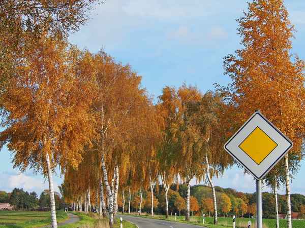 herbst hat vorfahrt