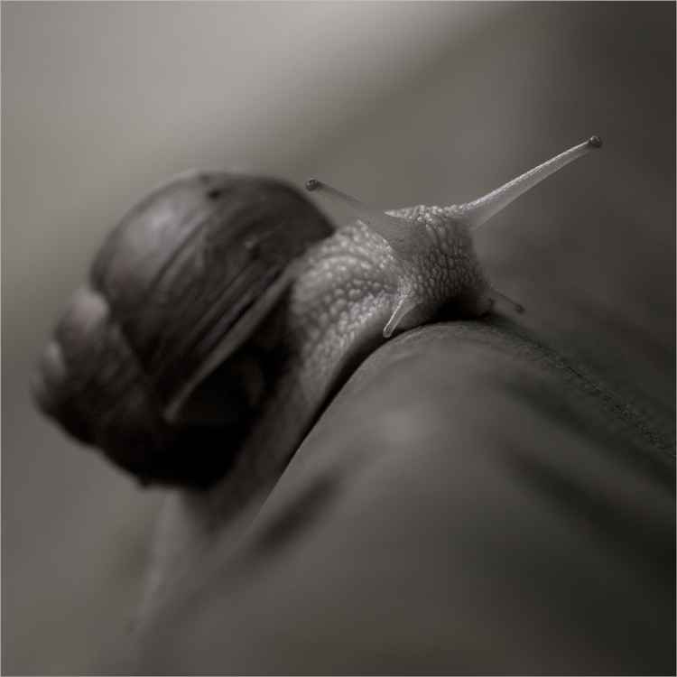 In der Ruhe liegt die Kraft...