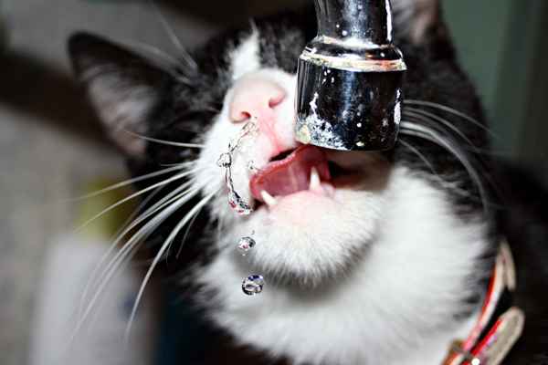 Ronja am Wasserhahn 01