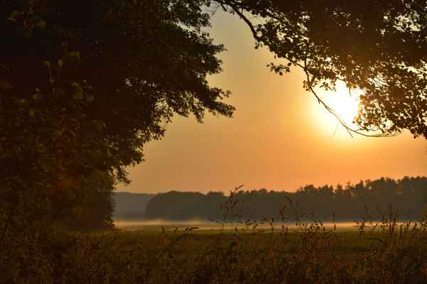 Sommermorgen
