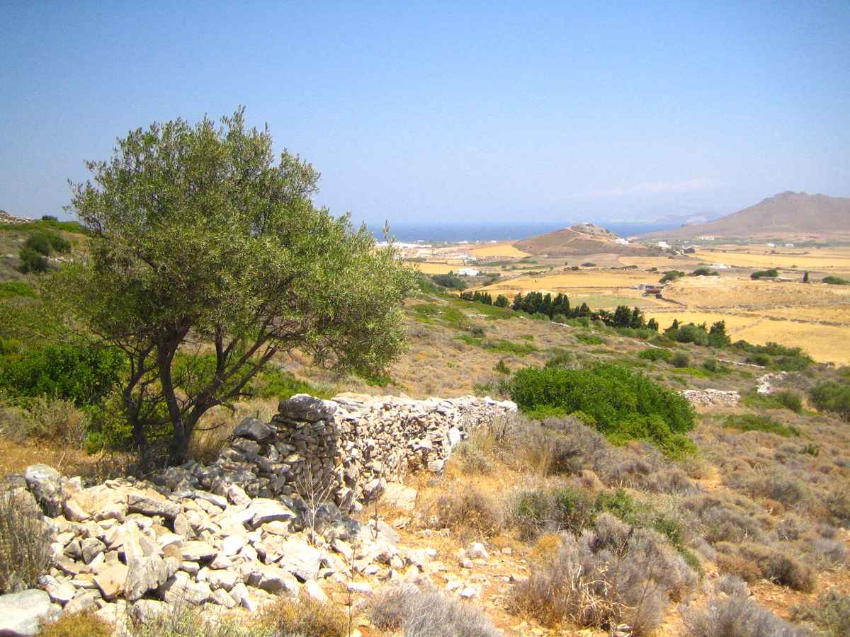 Byzantinischer Weg Richtung Meer