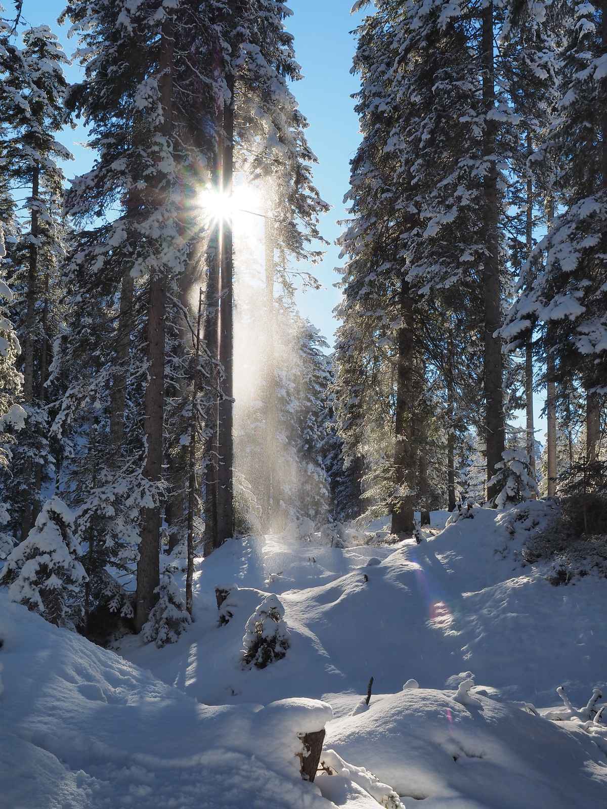 winterstimmung