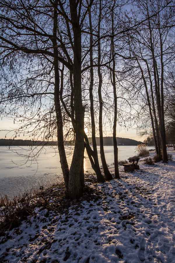 Wintermorgen am Weiher