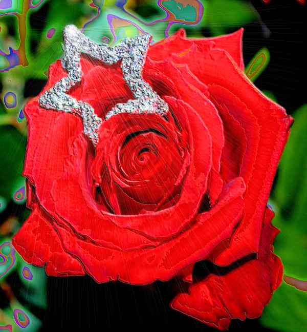 DIE STERNENFEE WAR DA.........