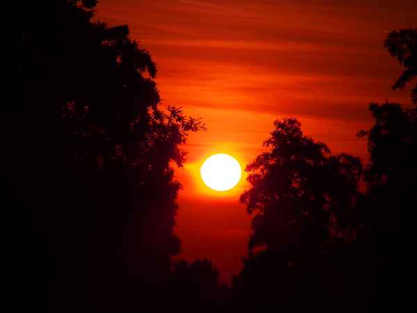 Sonne erwacht!_7