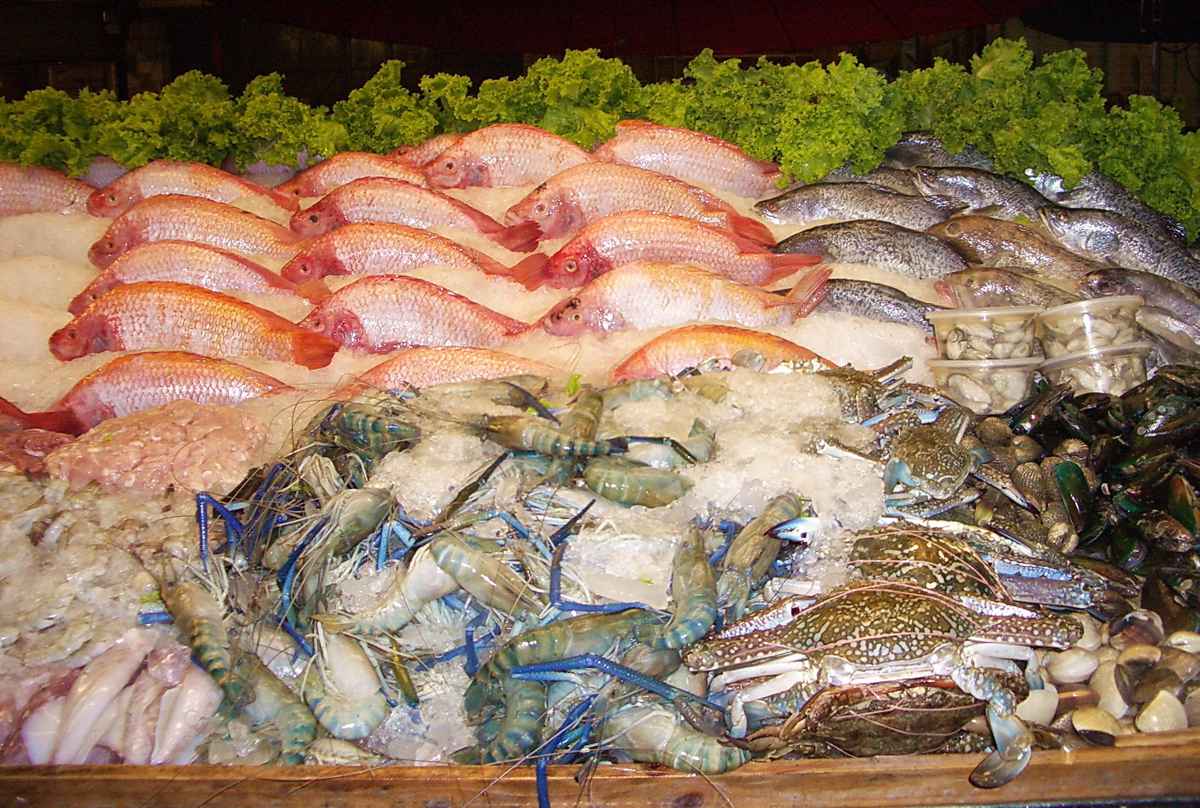 bitte das Abendessen aussuchen