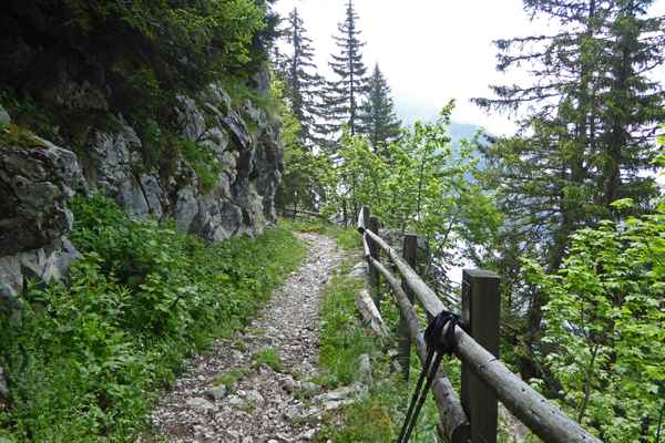 Bergpfad zum Rochers de Naye