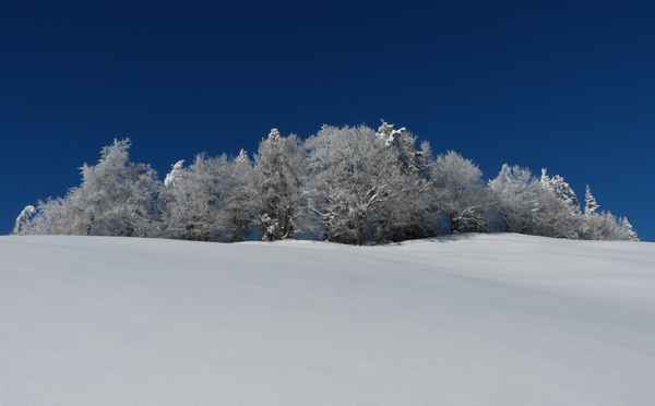 Zwischen Himmel und Erde