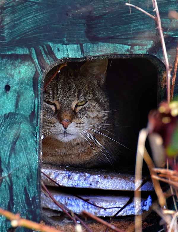 My home is my castle