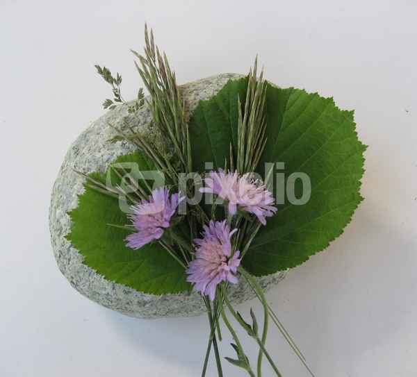 Arrangement als Tischdekoration