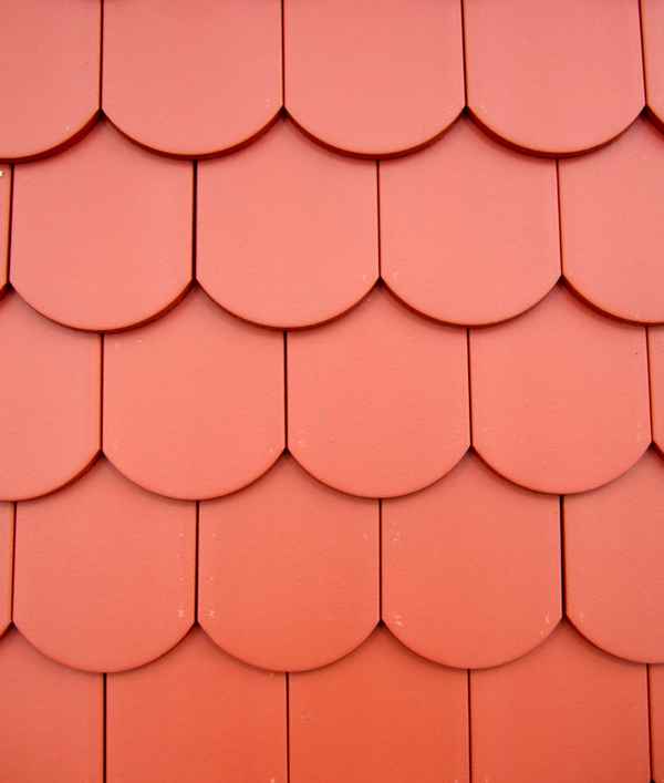 Biberschwanz-Dachziegel